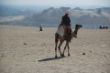 Ägypten 2010 081.JPG