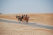 Ägypten 2010 054.JPG