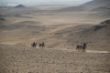 Ägypten 2010 040.JPG