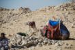 Ägypten 2010 019.JPG