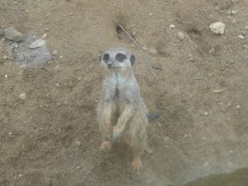 Zoom-Erlebniswelt 06.10.2010 085.JPG